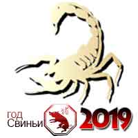 гороскоп на 2019 год Скорпион