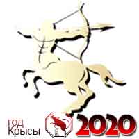 гороскоп на 2020 год Стрелец