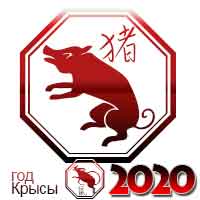   2020  